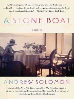 cover image of A Stone Boat